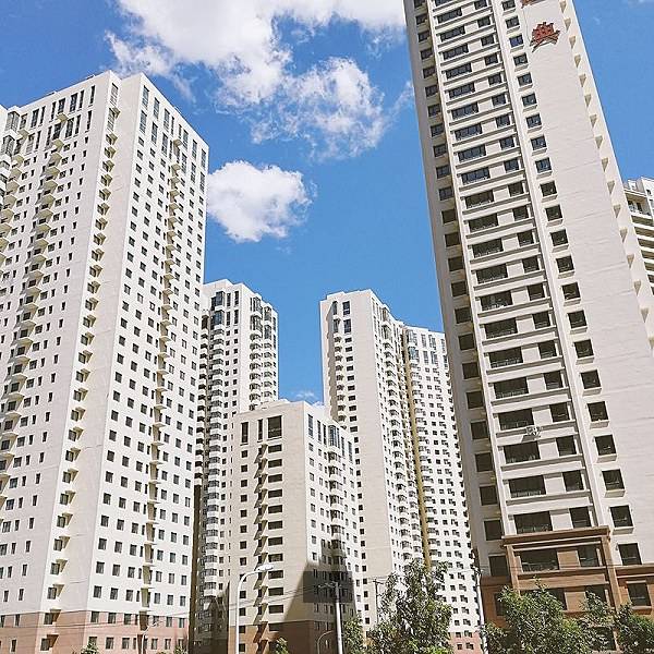 欧迪芬文胸图片